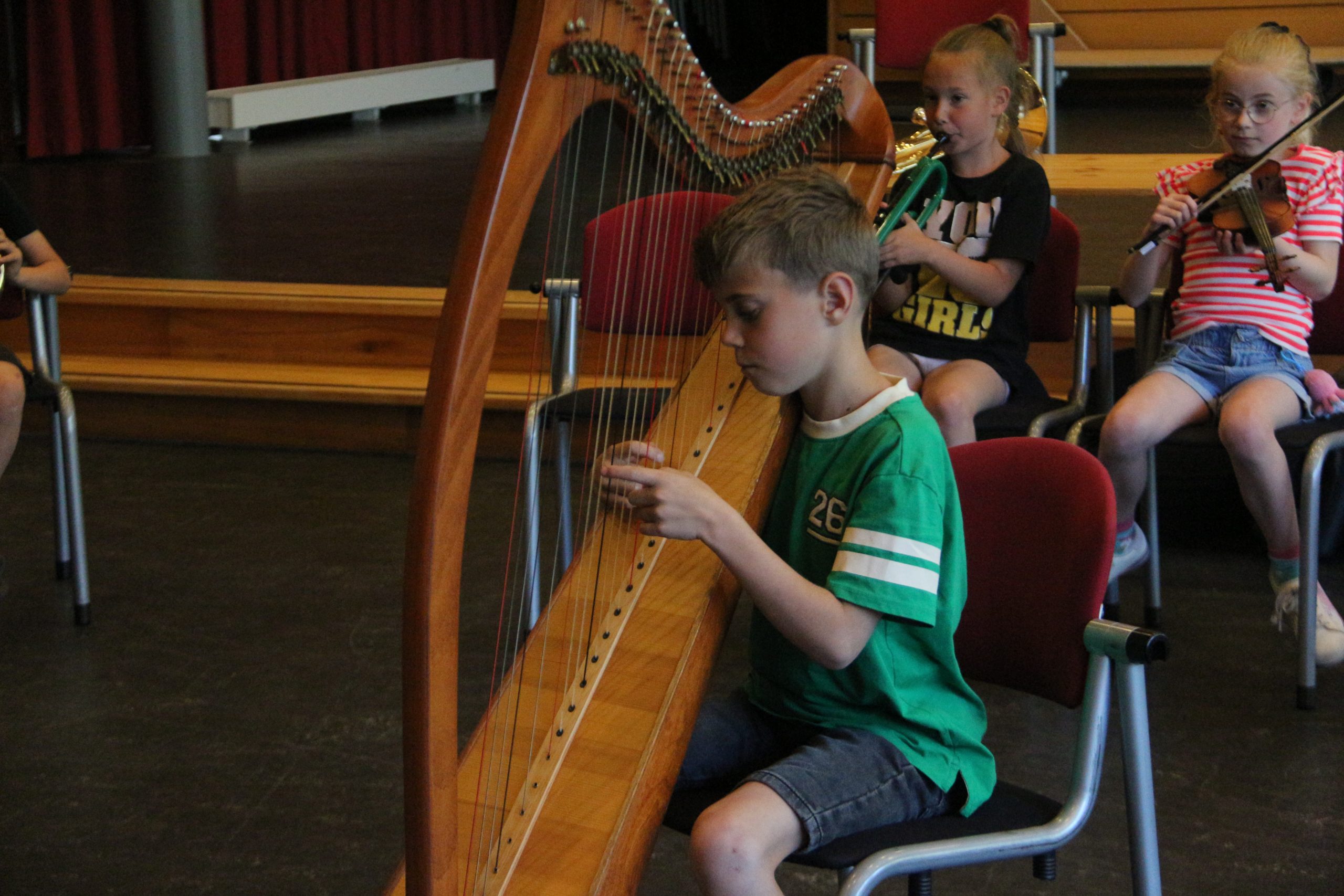 harp viool