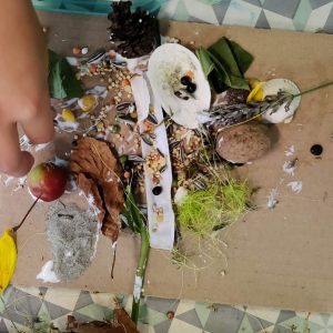 Kunst, zintuigen en natuur