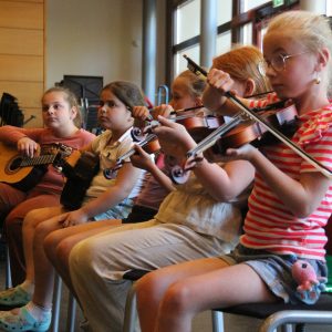Maak kennis met muziekinstrumenten - strijkinstrumenten